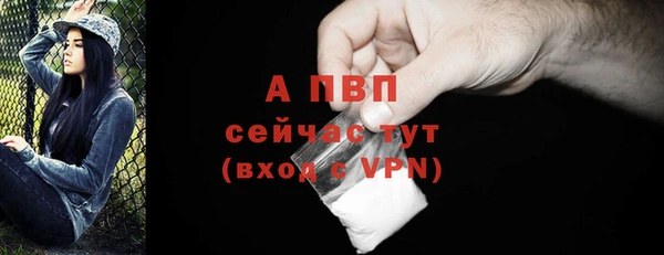 гидра Абаза