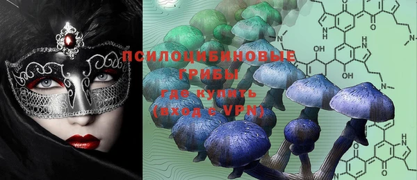 ALPHA PVP Новодвинск